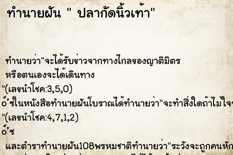 ทำนายฝันปลากัดนิ้วเท้า ทำนายฝันทำนายฝันปลากัดนิ้วเท้า